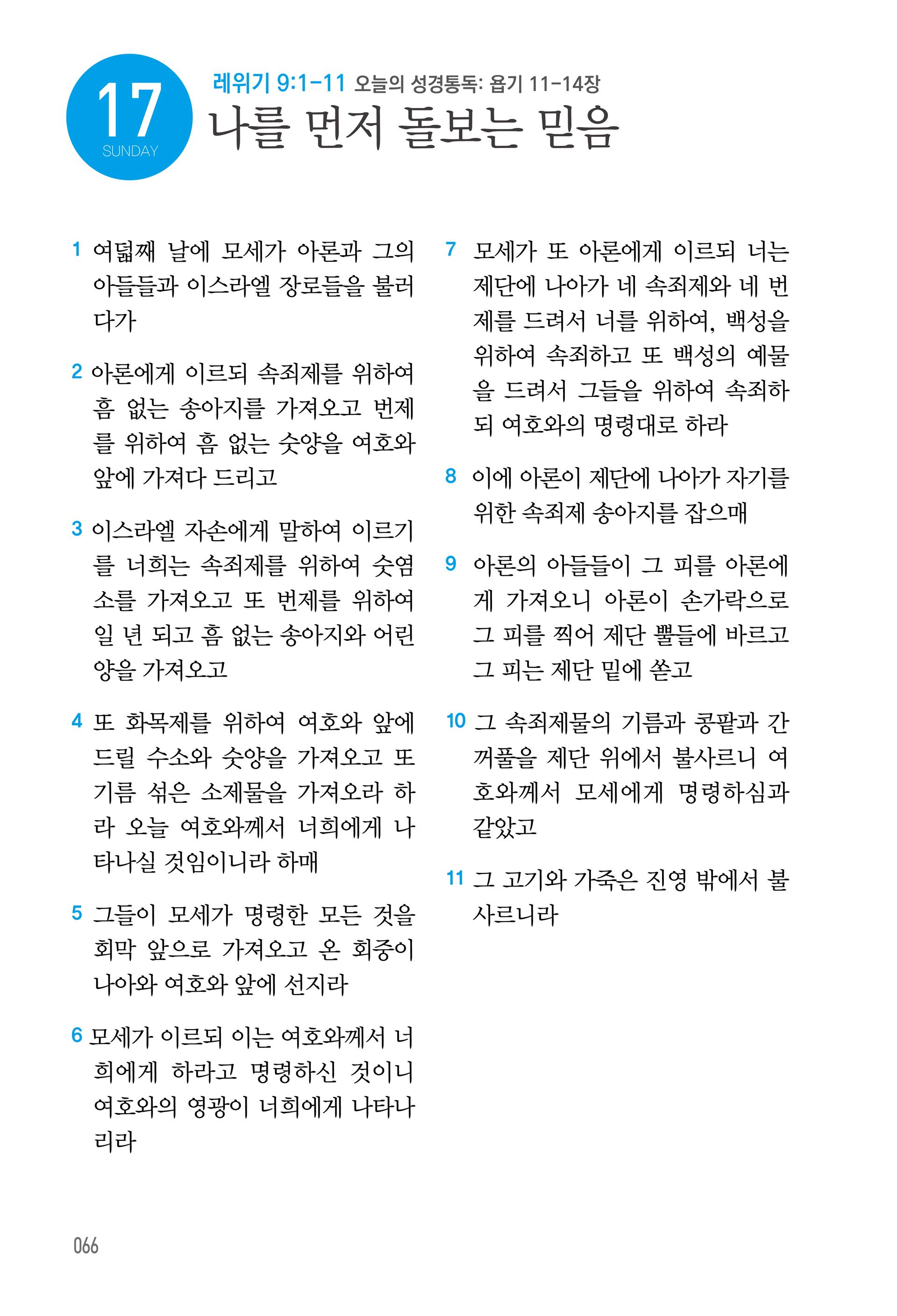 05월 17일
