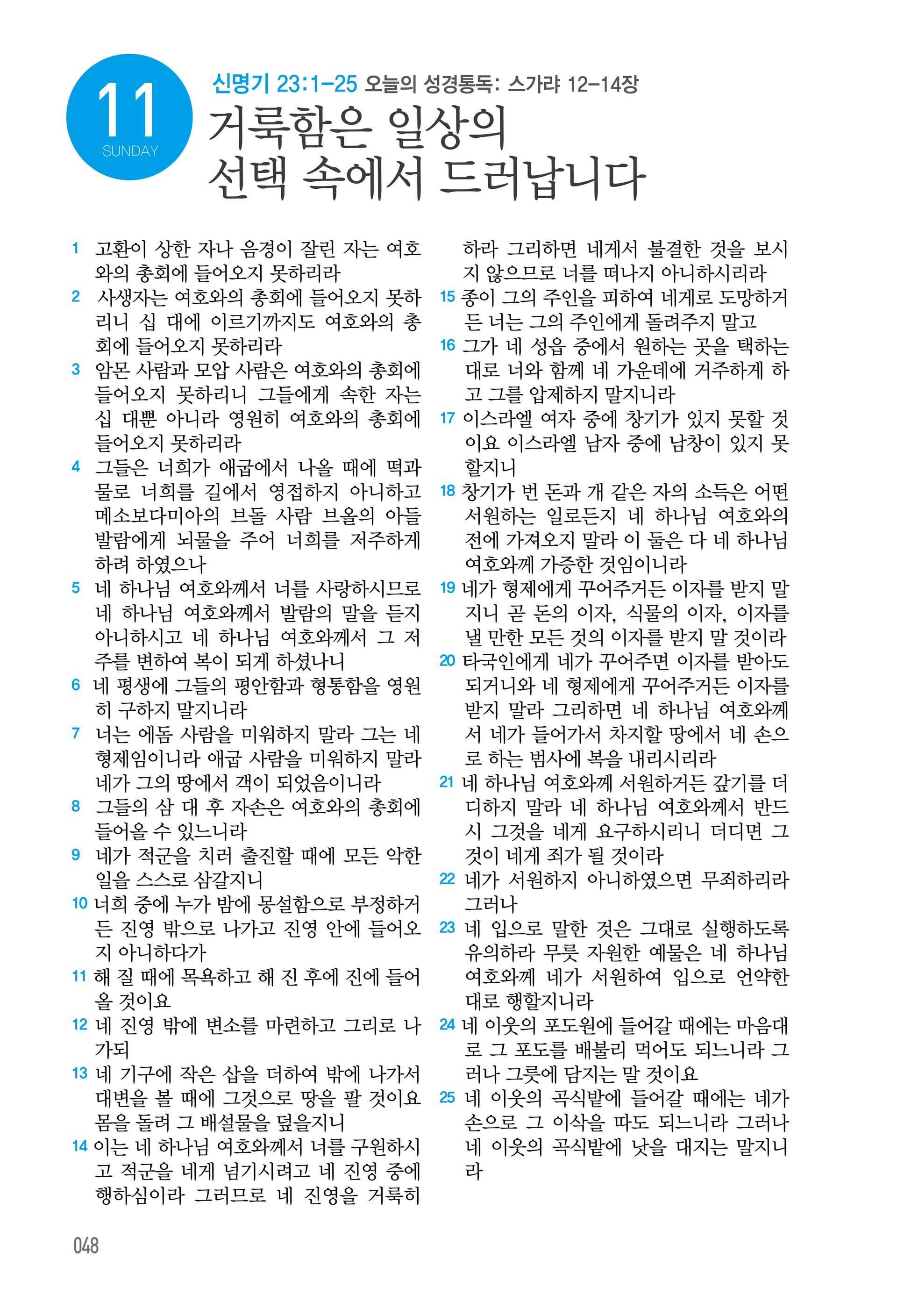 10월 11일
